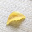 画像2: リーフチャーム37×21mm（約280個相当） (2)