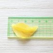 画像6: リーフチャーム37×21mm（約280個相当） (6)
