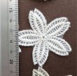 画像7: レース#4 250pc（15yd) (7)
