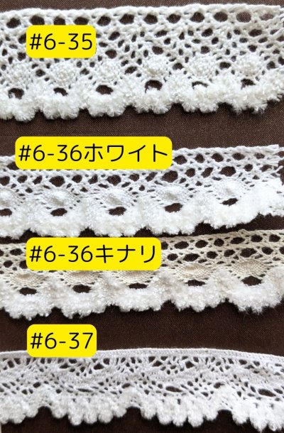 画像2: レース#6 (10yd・100yd)