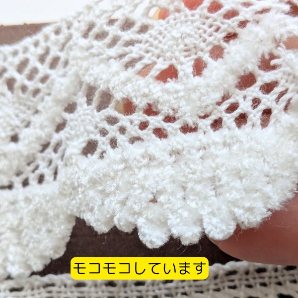 画像1: レース#6 (10yd・100yd) (1)