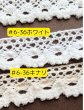画像8: レース#6 (10yd・100yd) (8)