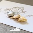 画像8: シェルチャームC（10×13ｍｍ）（ 100個） (8)